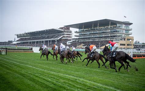 tips for cheltenham 2020